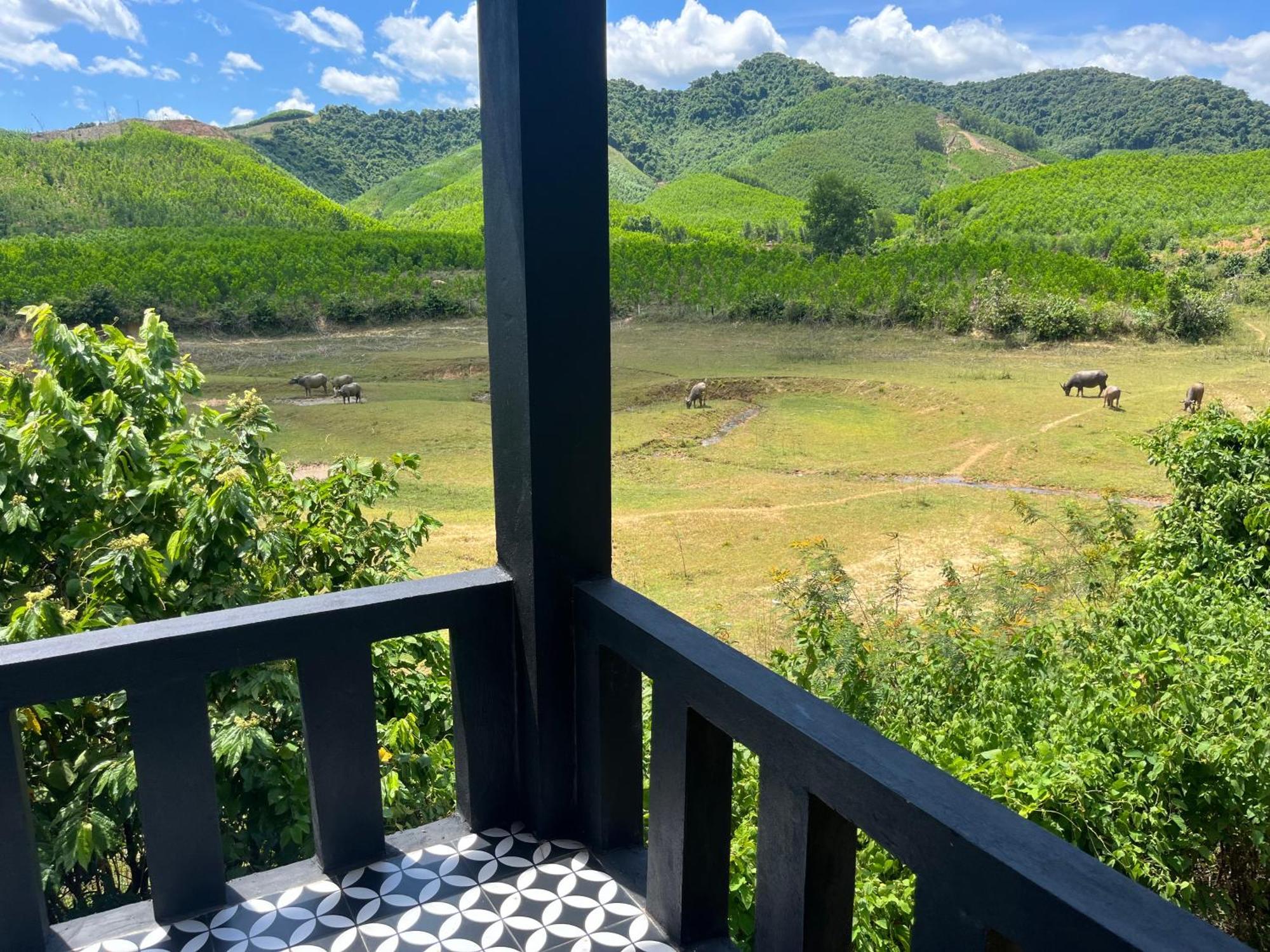 Nguyen Shack Retreat Resort Фонгня Экстерьер фото