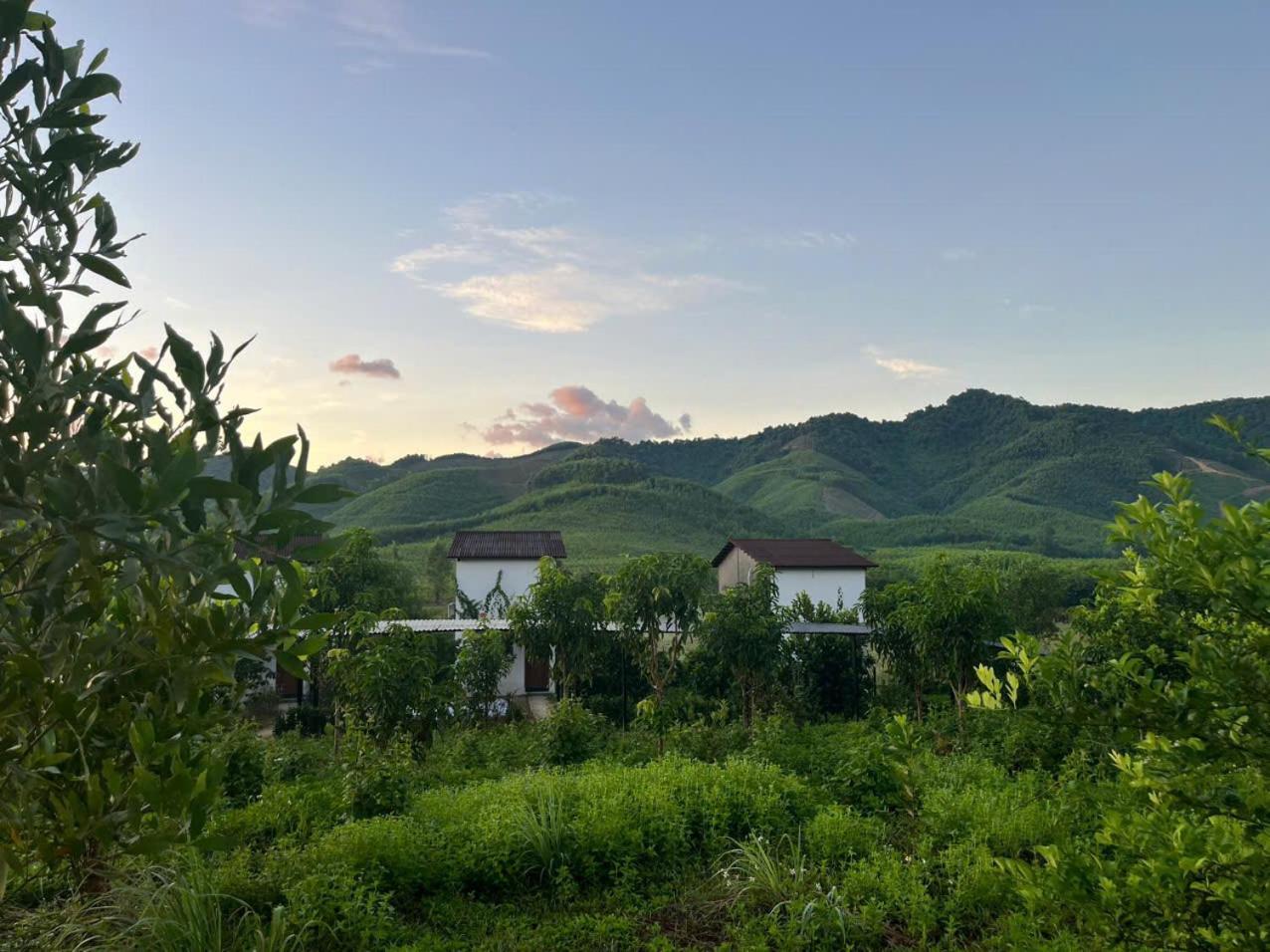 Nguyen Shack Retreat Resort Фонгня Экстерьер фото